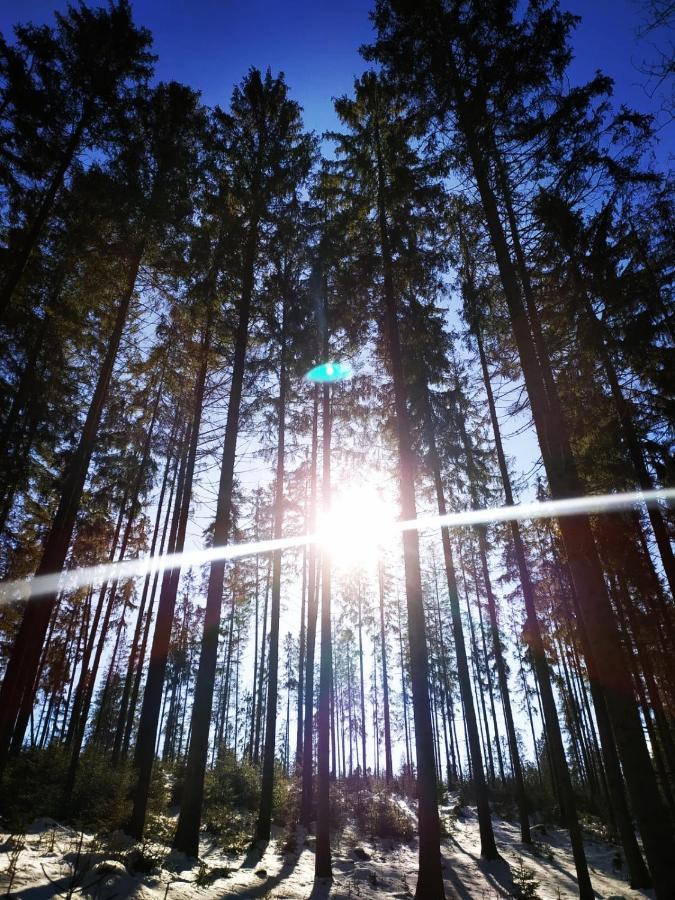 Gierkowka - Gorska Rezydencja Pierwszego Sekretarza Zwardoń Екстериор снимка